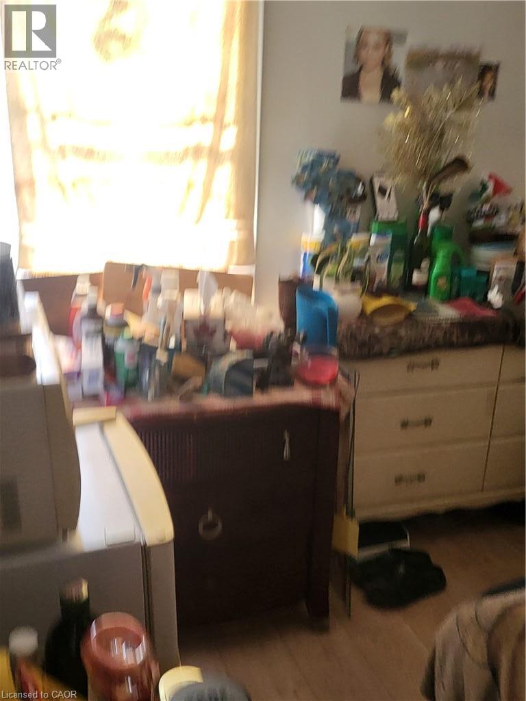 13 Albert Street Property Photo 5