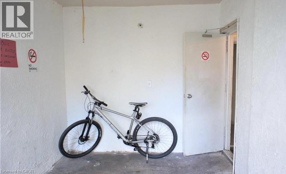 9 Albert Street Property Photo 8
