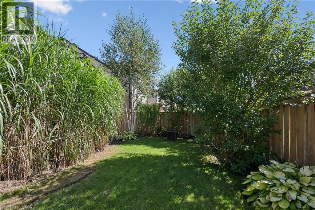 53 Aberdeen Street Property Photo 42