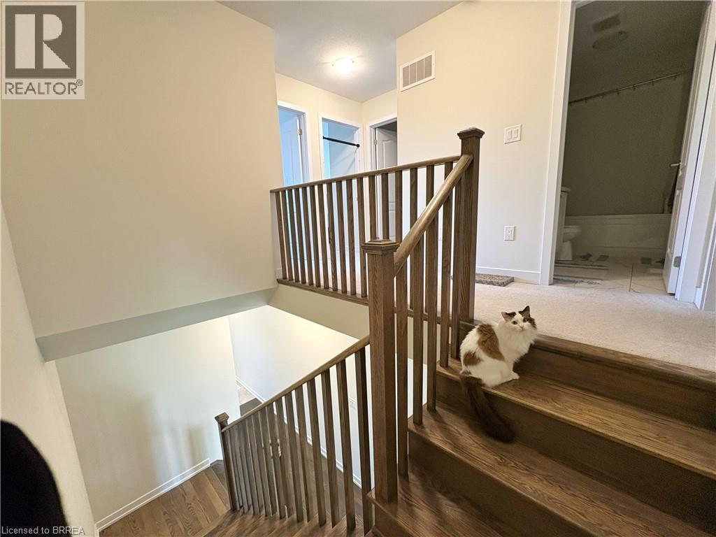 6 Owl Lane Property Photo 16