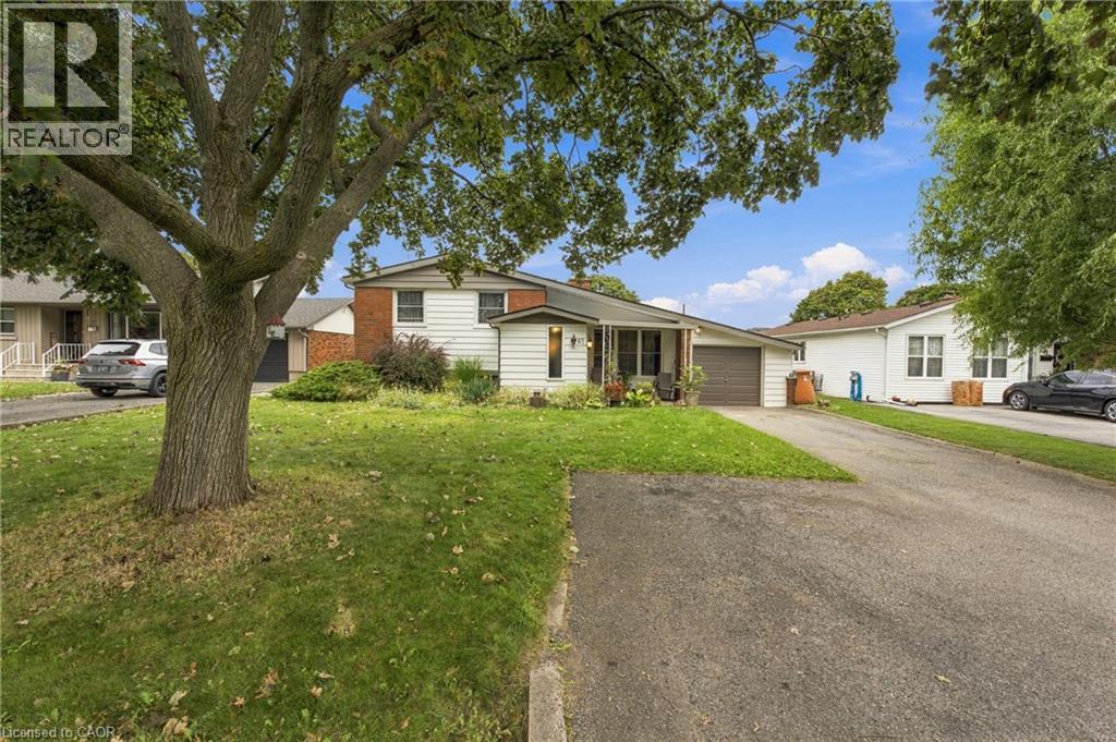 67 Wakelin Terrace Property Photo 3