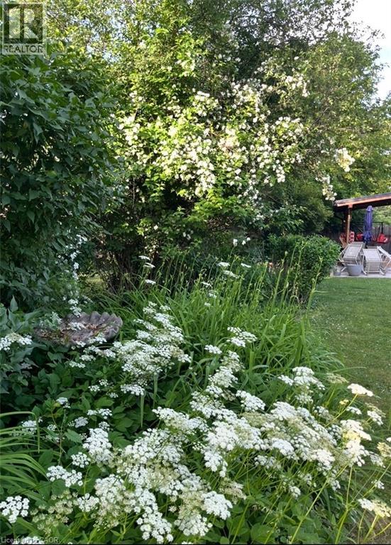 154 Ewen Road Property Photo 40