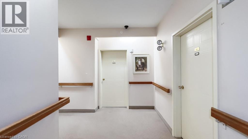 255 Durham Street Property Photo 42