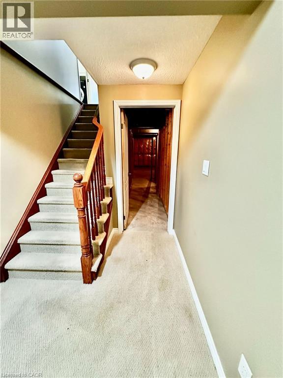 11 Carmichael Trail Property Photo 32