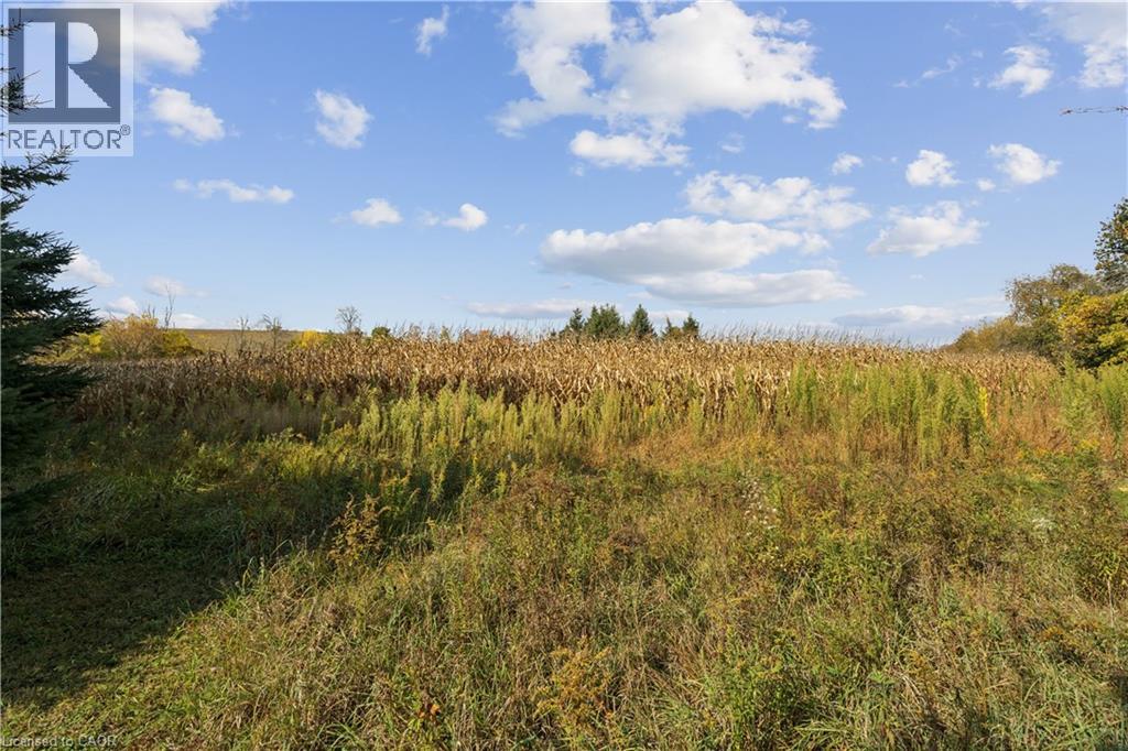 5649 25 Side Road Property Photo 19