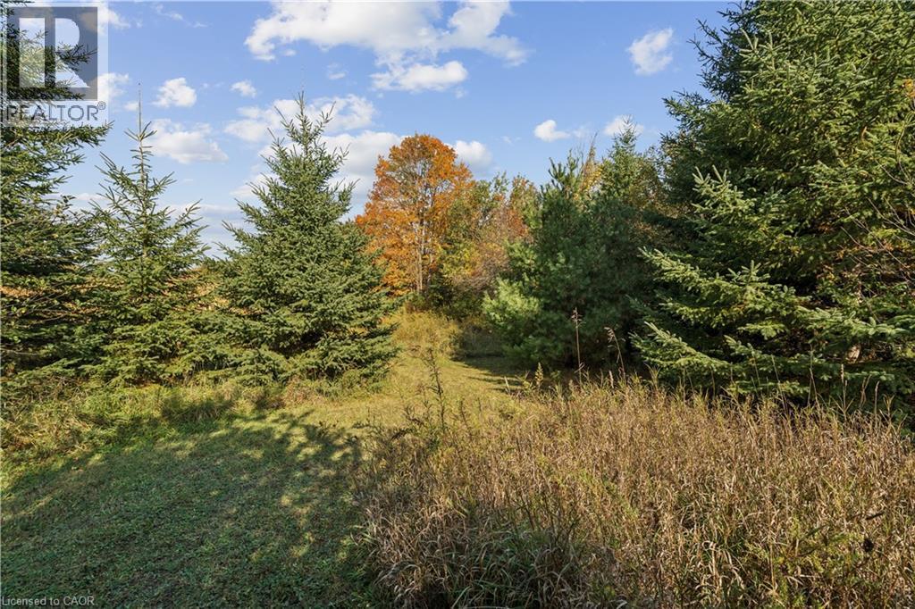 5649 25 Side Road Property Photo 20