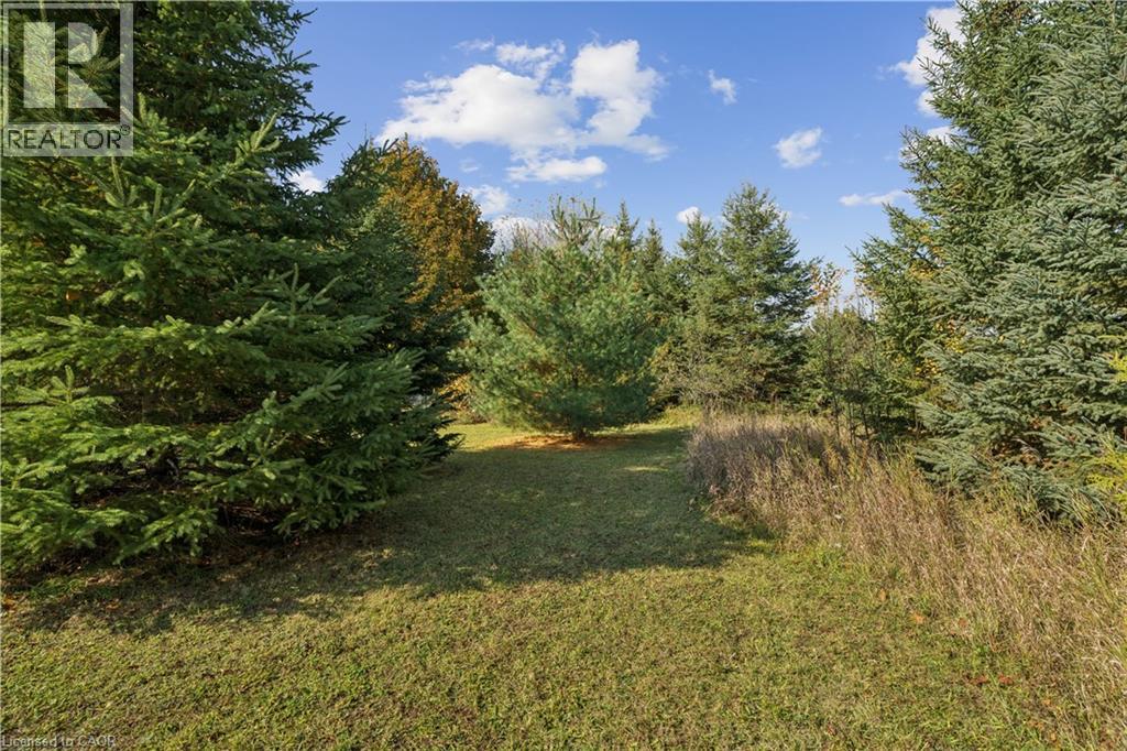 5649 25 Side Road Property Photo 22