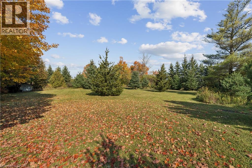 5649 25 Side Road Property Photo 25