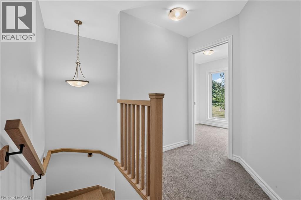 203 Park Street Property Photo 19