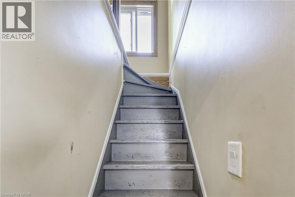 11 Elm Street Property Photo 23