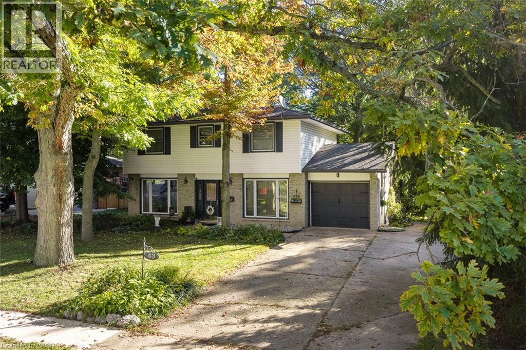 43 Stella Street Property Photo 1