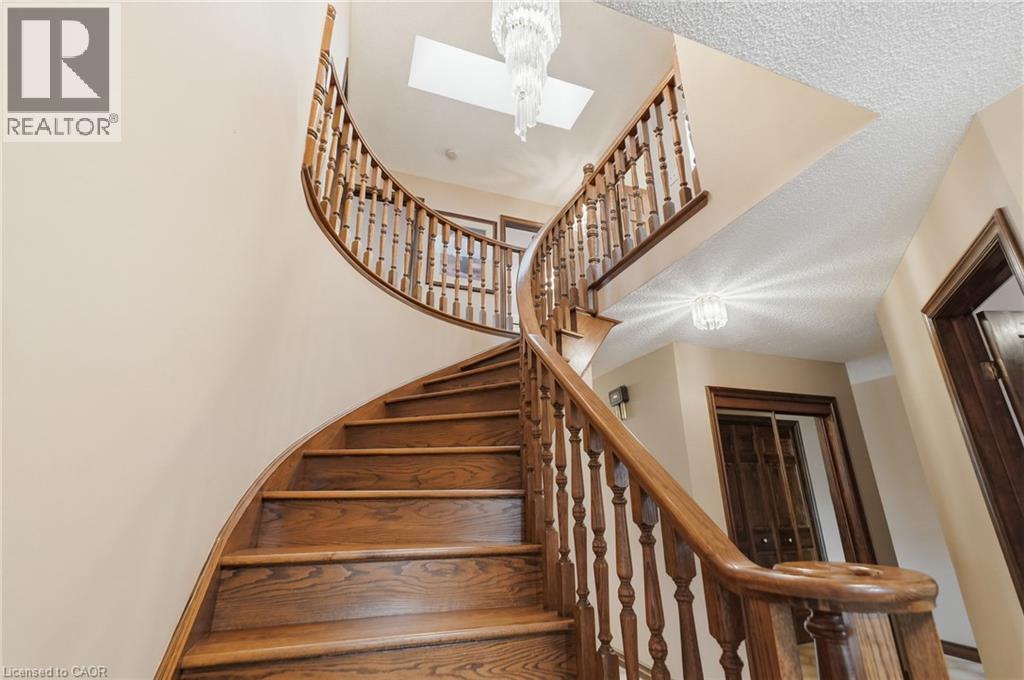4 Nellida Crescent Property Photo 26