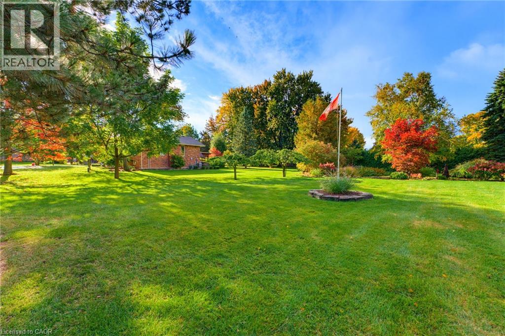 161 James Street Property Photo 4