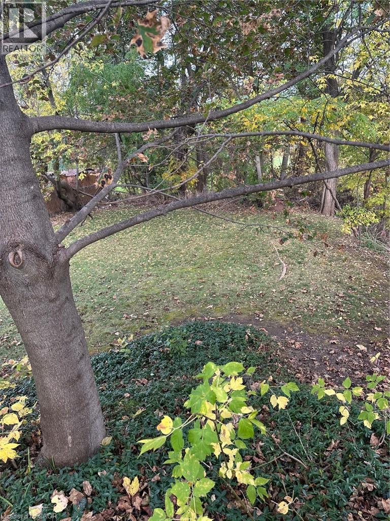 139 Glenmorris Street Property Photo 3