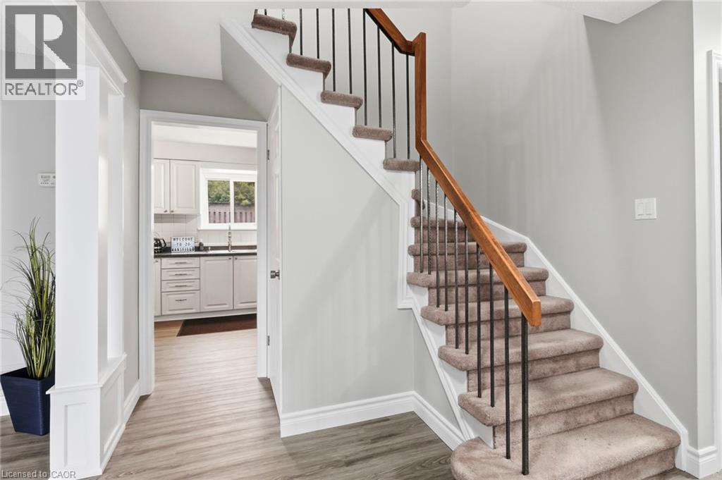 20 Mansfield Street Property Photo 15