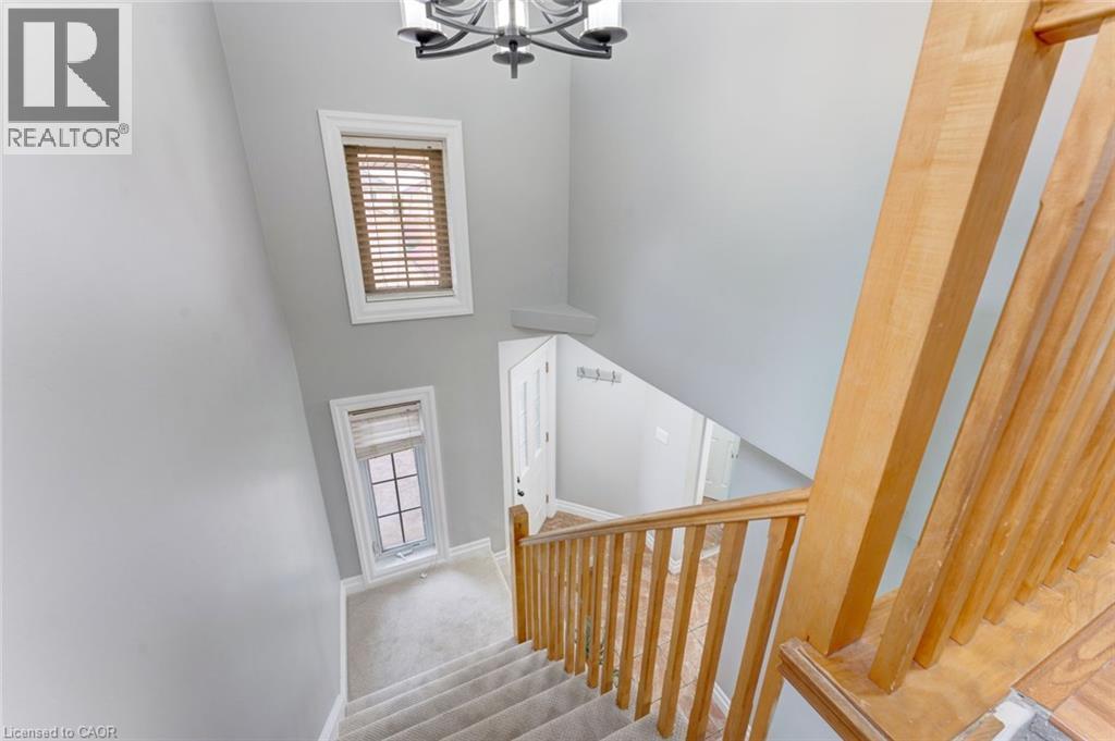 133 Steepleridge Street Property Photo 23