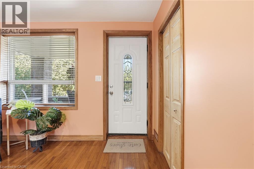 42 Dalhousie Avenue Property Photo 6
