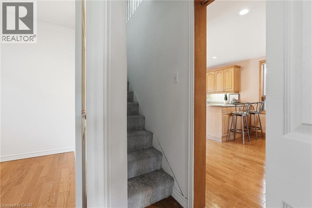 42 Dalhousie Avenue Property Photo 27