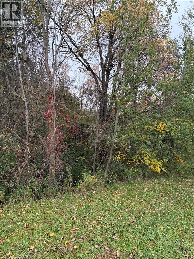 Pt Lot 27 Cedar Creek Concession Property Photo 1