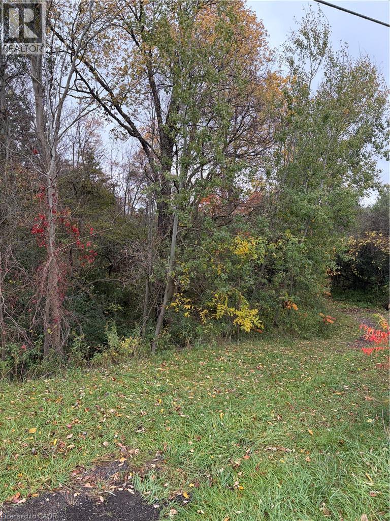 Pt Lot 27 Cedar Creek Concession Property Photo 3