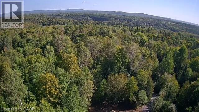 3275 Musclow-greenview Road Property Photo 3