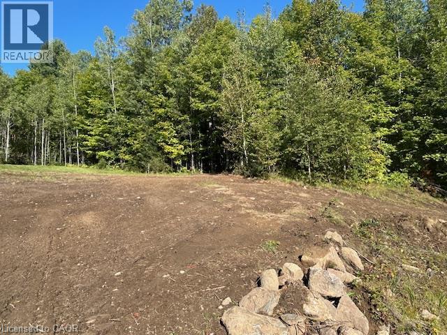 3275 Musclow-greenview Road Property Photo 13