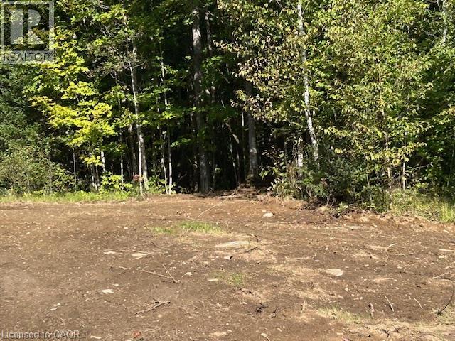 3275 Musclow-greenview Road Property Photo 14