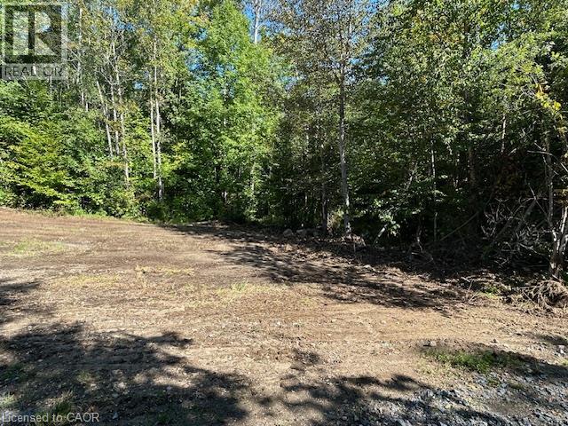3275 Musclow-greenview Road Property Photo 15