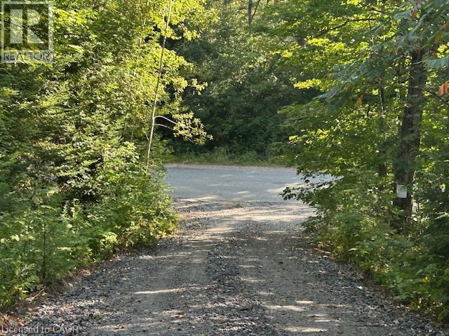 3275 Musclow-greenview Road Property Photo 16