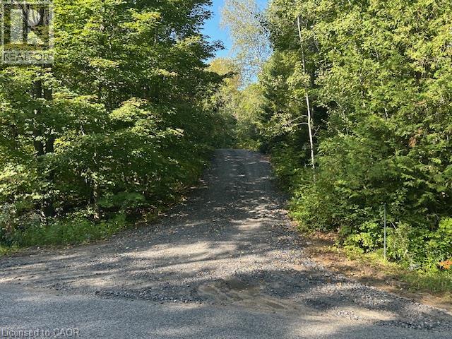 3275 Musclow-greenview Road Property Photo 19
