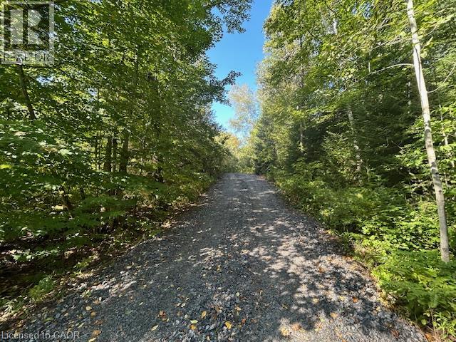 3275 Musclow-greenview Road Property Photo 20