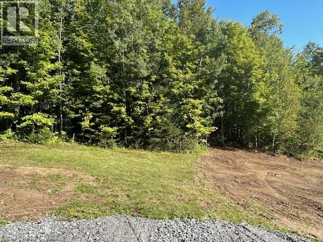 3275 Musclow-greenview Road Property Photo 24