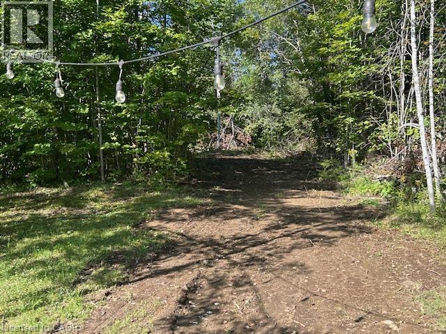 3275 Musclow-greenview Road Property Photo 27