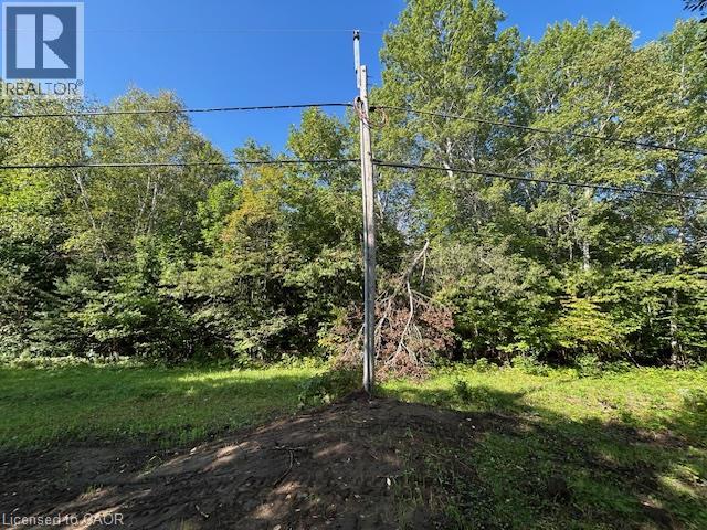 3275 Musclow-greenview Road Property Photo 28