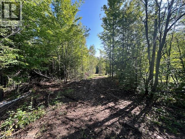 3275 Musclow-greenview Road Property Photo 29