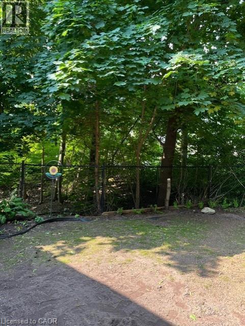 239 Rosemary Lane Property Photo 14