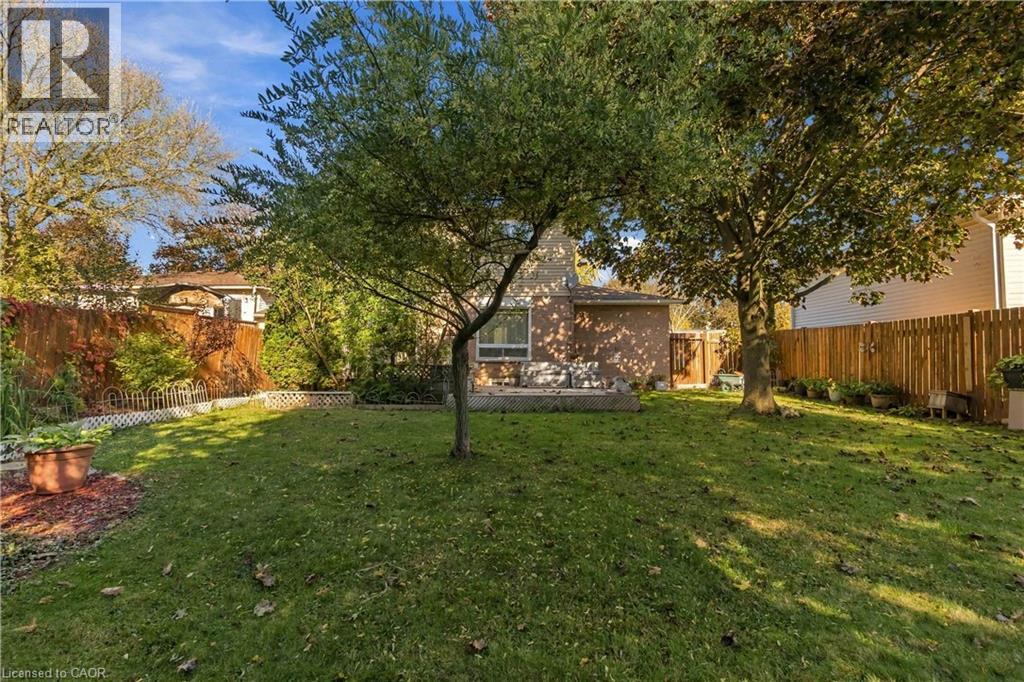 24 Jasper Street Property Photo 44