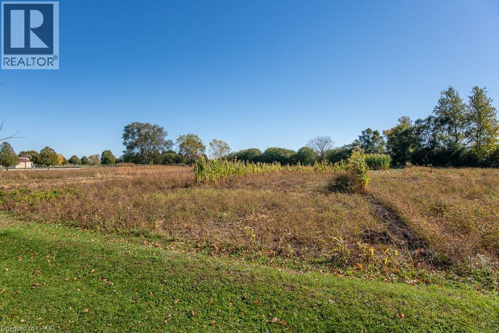 169 Schweitzer Street Property Photo 35