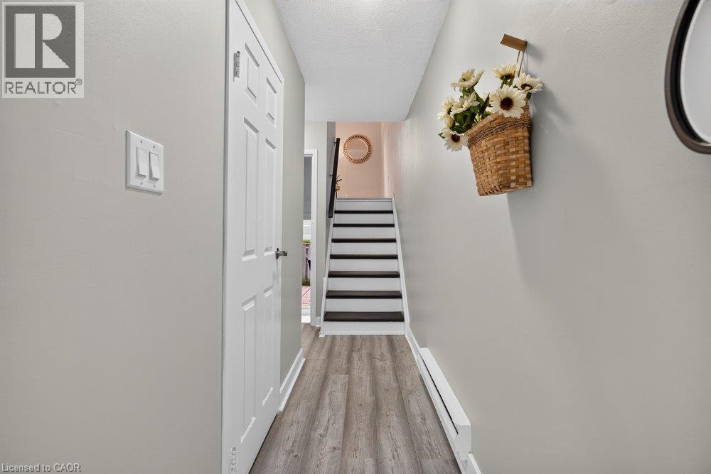 21 Rosedale Court Property Photo 13