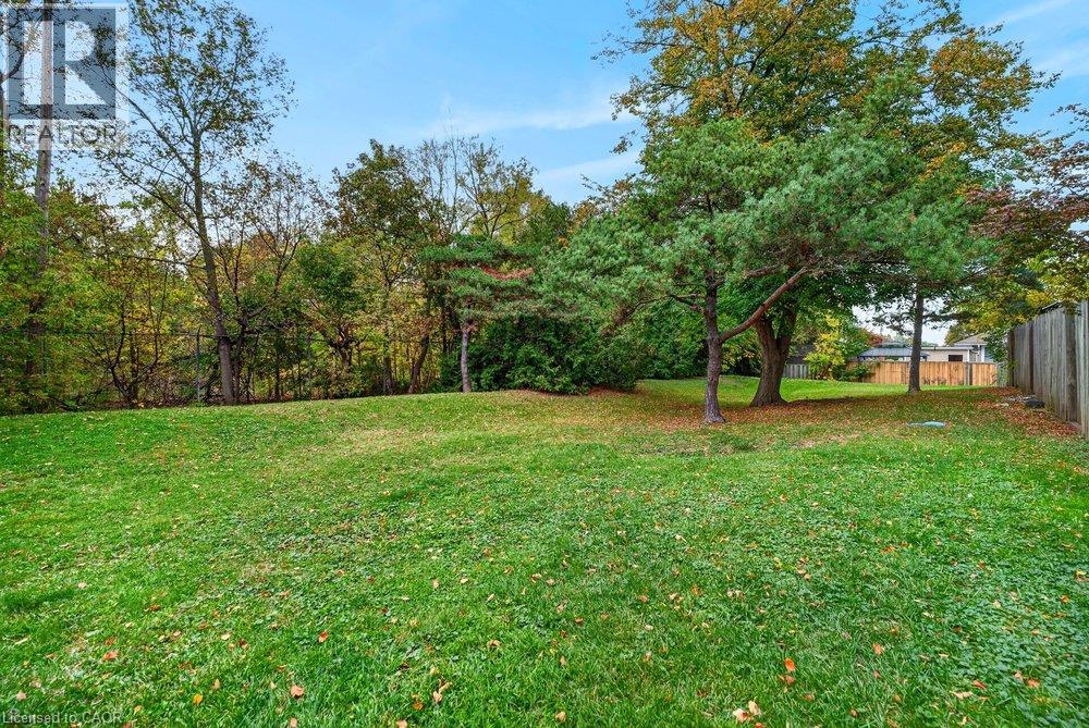 21 Rosedale Court Property Photo 41