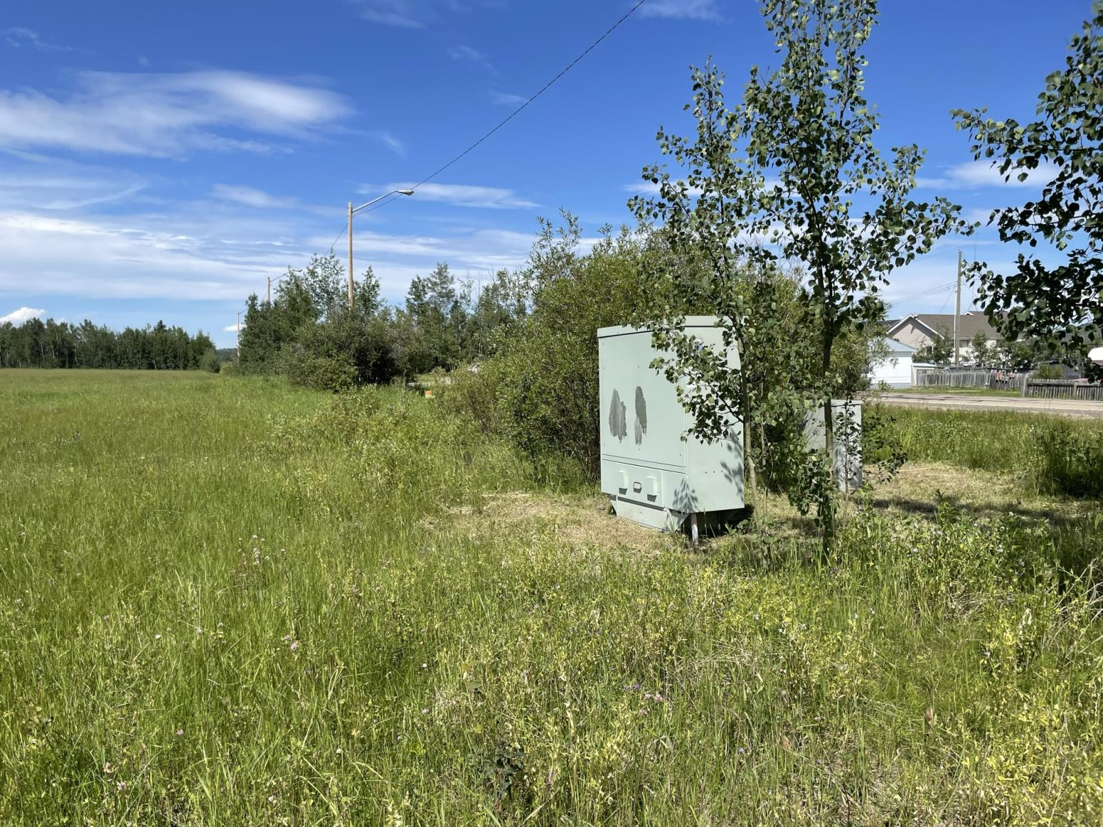 5002 50 Street Property Photo 4