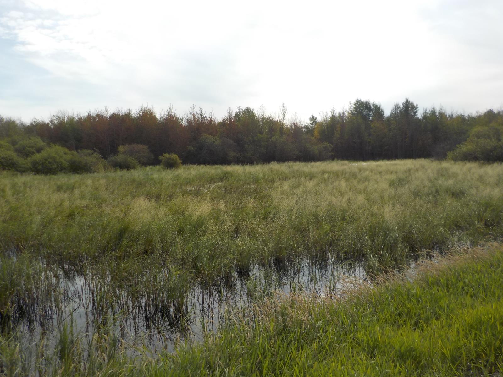 44 Street Property Photo 1
