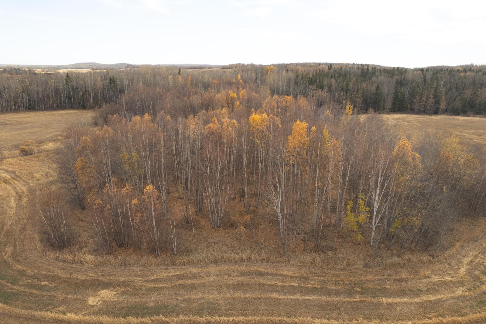 56309 Rge Rd 13 Property Photo 49
