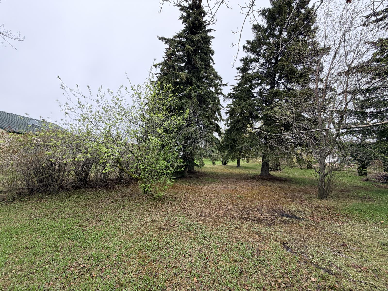 10239 104 Avenue, Westlock Property Photo 16