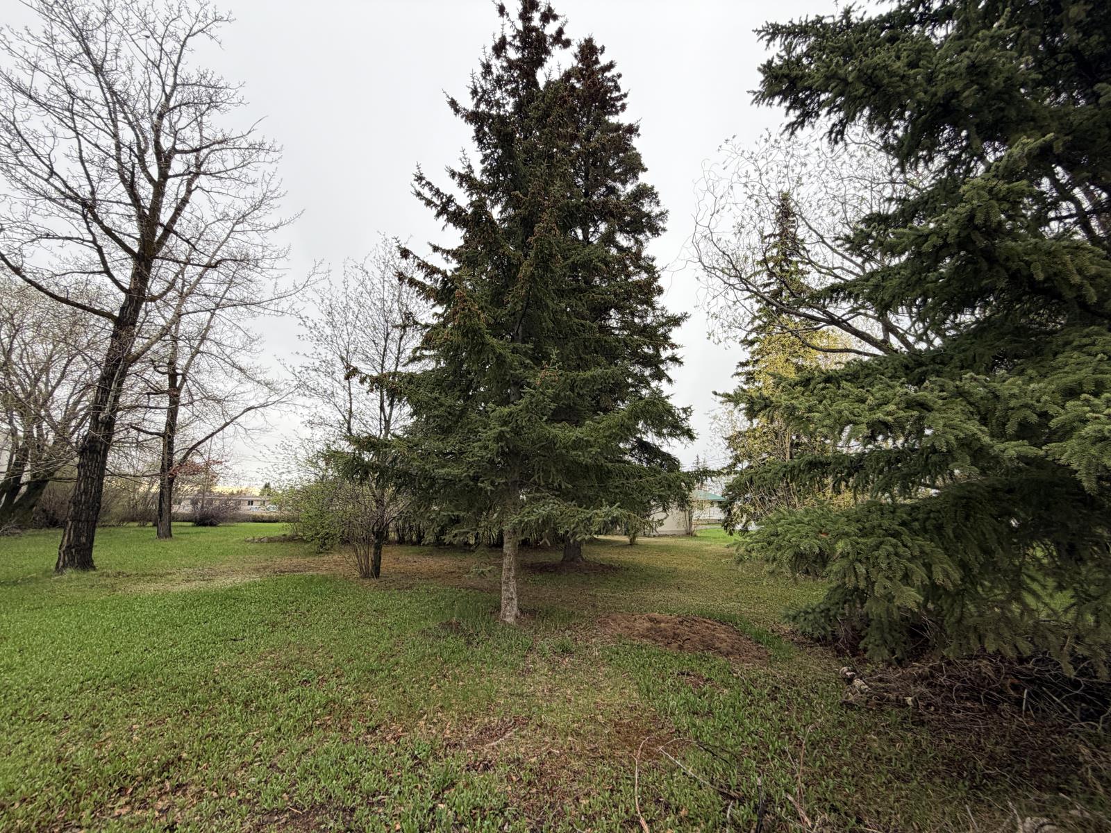 10239 104 Avenue, Westlock Property Photo 17