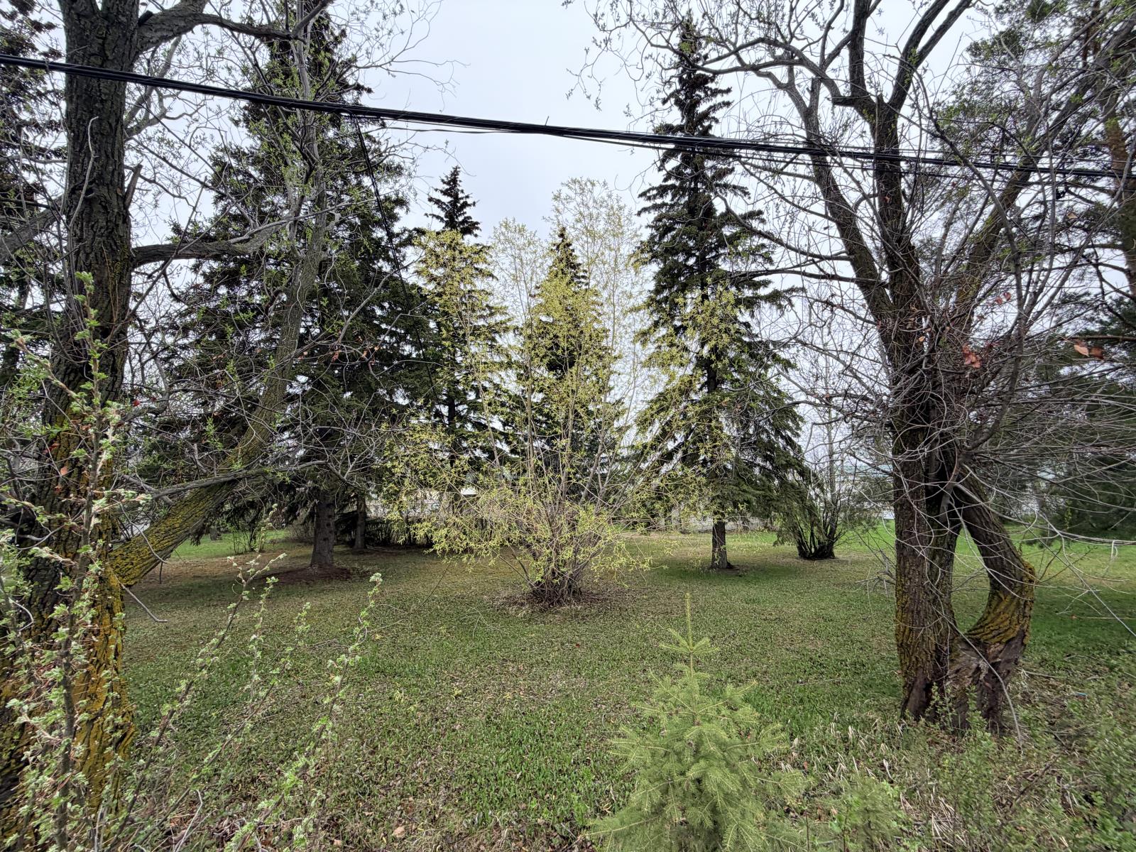 10239 104 Avenue, Westlock Property Photo 19