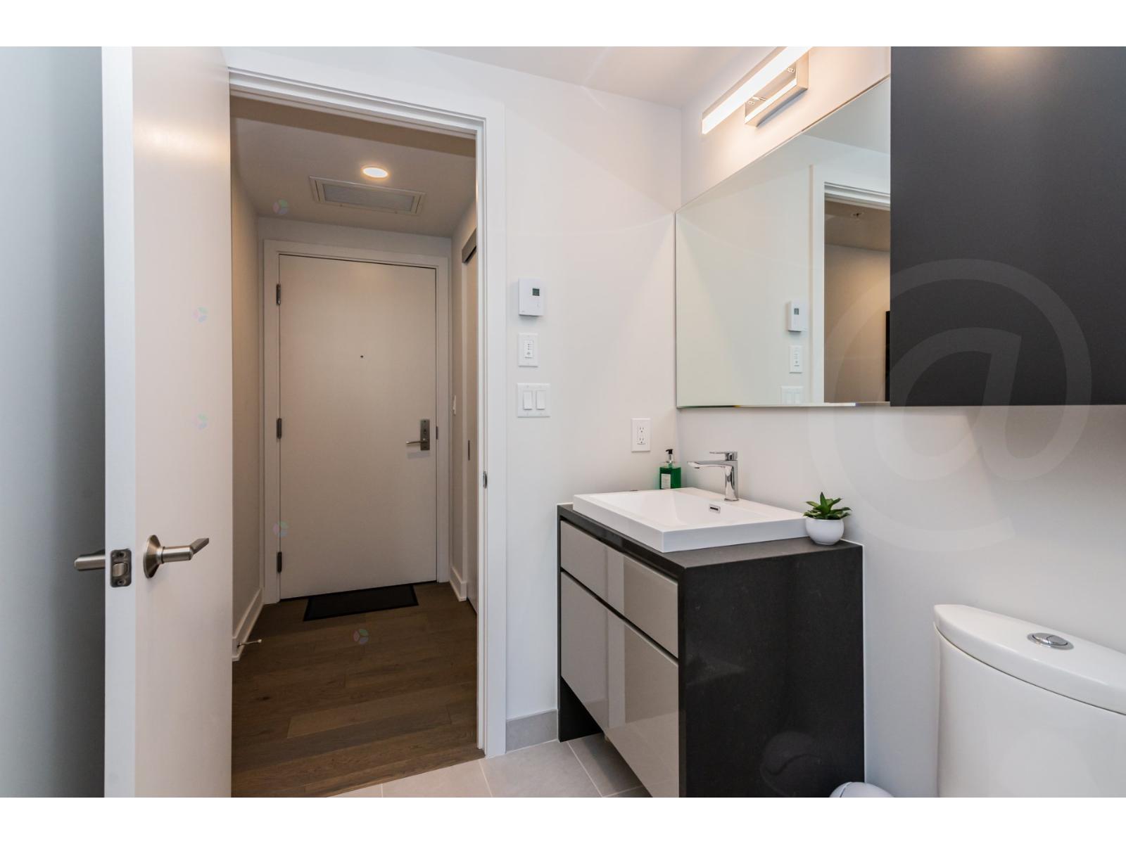 1188 Rue St-antoine O., #3010 Property Photo 14