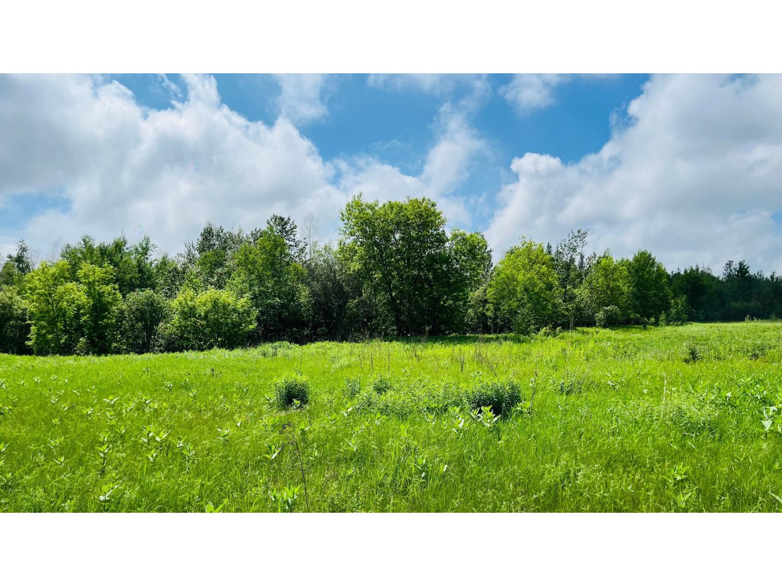 Boul. Thibeau Property Photo 3