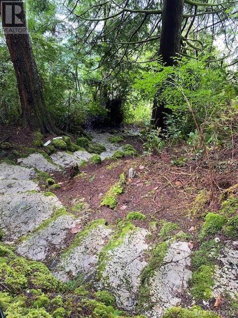 1 Seekah Landing Property Photo 17