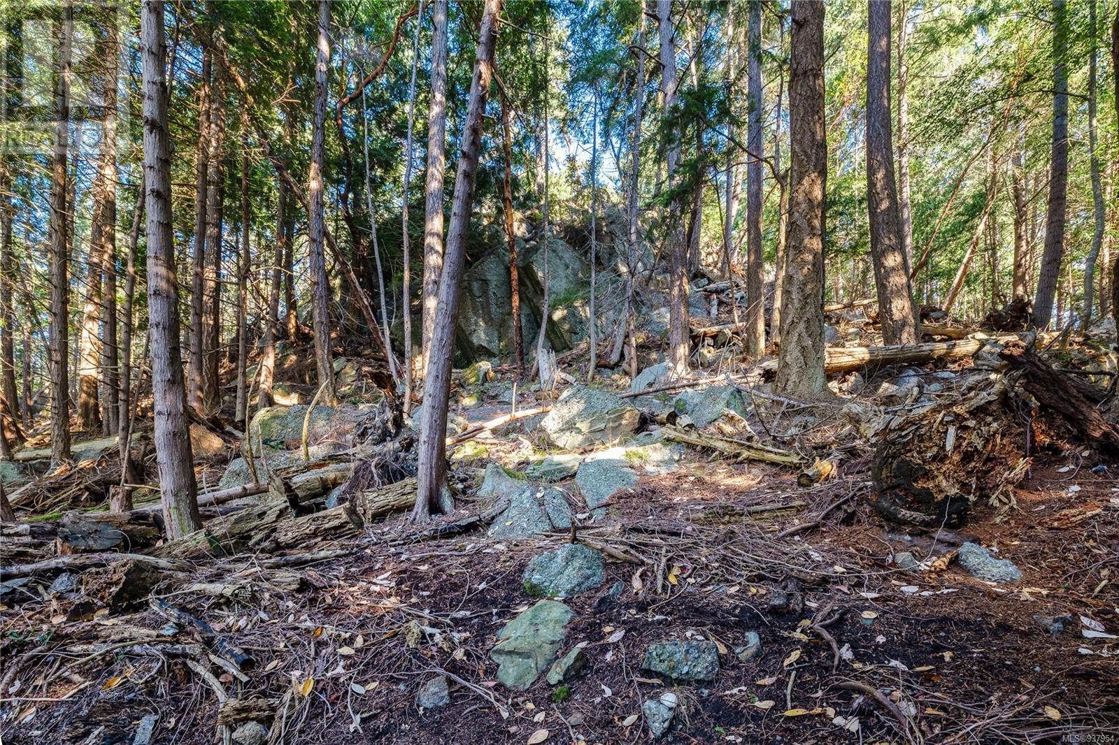 498 Marine Trnabt Property Photo 21